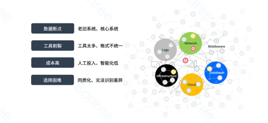 睿智創新RAIZ，一體化IT服務提供商