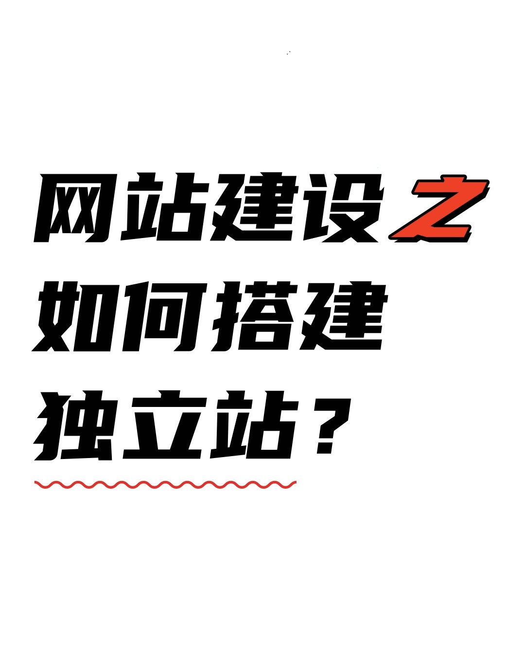 睿智創(chuàng)新RAIZ，一體化IT服務(wù)提供商